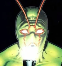 Ambush Bug