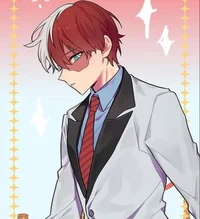 Shoto Todoroki 