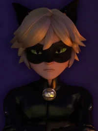 Cat Noir 