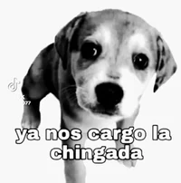 Ya nos cargo la chin
