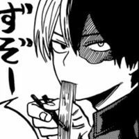 Shoto Todoroki