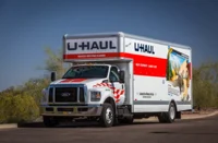 Wolf the Dragon-Wolf