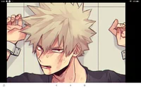 Bakugou katsuki