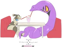 Arbok and Ferret