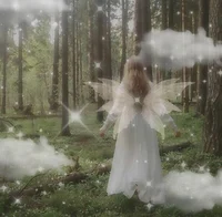 Fairy dream