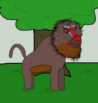 Bobo the Baboon