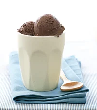 CHOCOLATE ICE CREAM