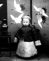 The Xuantong Emperor