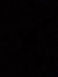 Talker reklaT