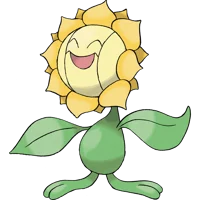 Sunflora