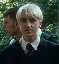 Draco Malfoy