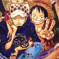 law and luffy