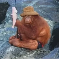 monkey fisherman
