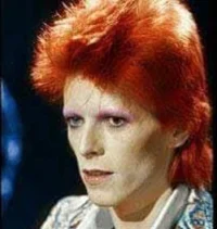David Bowie