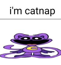 CatNap