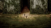 The Maze Runner