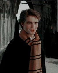 Cedric Diggory 
