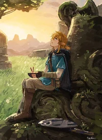 BotW Link