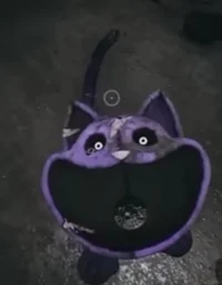 Friendly Mini Catnap