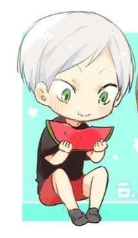Lev Haiba CHIBI