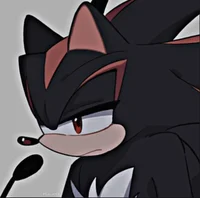 Shadow the hedgehog 