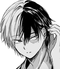 Shoto Todoroki