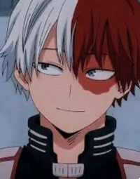 Shoto Todoroki 
