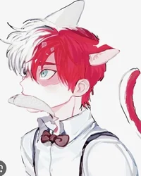 Neko todoroki