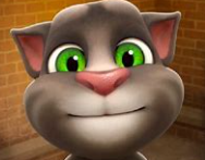 Hostile Talking Tom