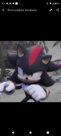 Shadow The Hedgehog 