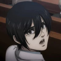 Mikasa -Pregnant GF-