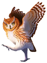 Scoops Owl
