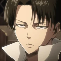 Levi