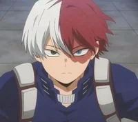 Shoto Todoroki 