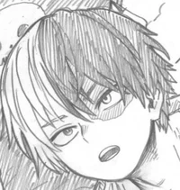 Shoto Todoroki 