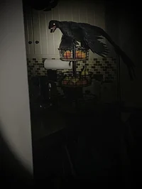 Microraptor -w birds