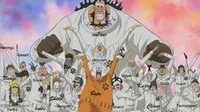 Heart pirates