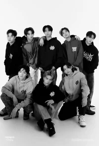 Stray kids