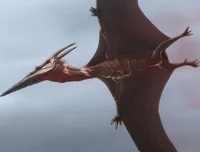 Rodan