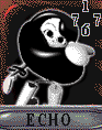 Echo 