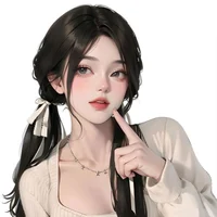 Xin Aaudi
