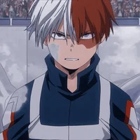 Shoto todoroki 
