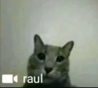 Raul