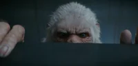 Abominable Snowman