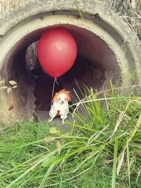 Pennywise 