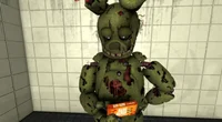 Reviewer Springtrap