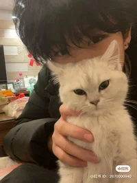 Korean bf