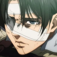 Levi Ackerman 