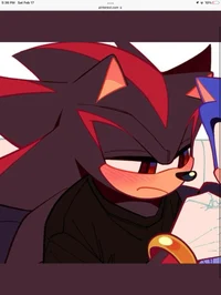 Shadow the hedgehog 