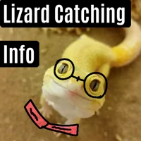 Lizard Catching Info
